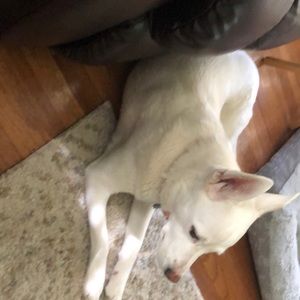 Meet your Posher, Wendy